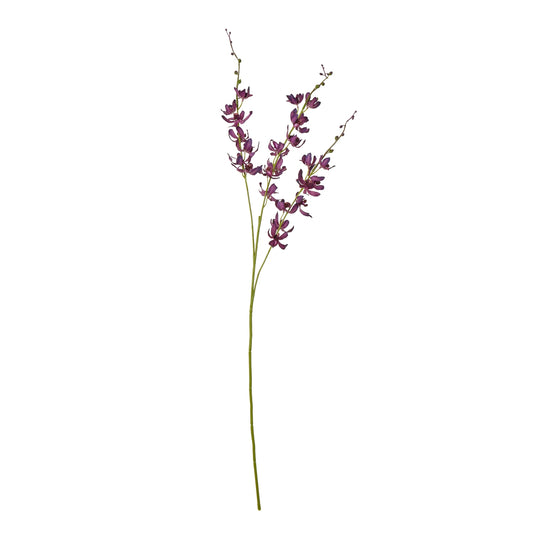 Purple Cymbidium spray featuring vibrant, velvety petals and elegant orchid-like blossoms, perfect for sophisticated decor.
