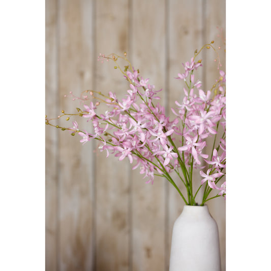 Delicate lilac Cymbidium spray with soft lavender petals, gracefully cascading from a simple white vase against a rustic background.