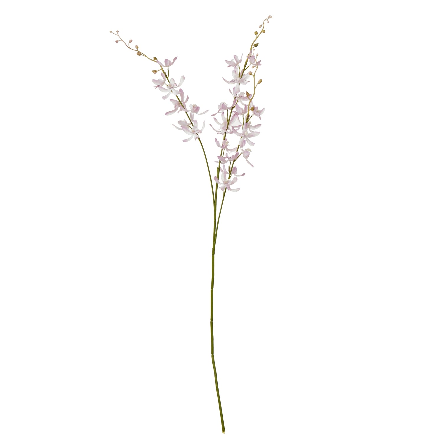 Lilac Cymbidium spray with delicate lavender petals, showcasing a graceful cascading design for elegant home decor.