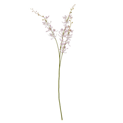 Lilac Cymbidium Spray - Single Stem Flowers from the Quanta Home collection.