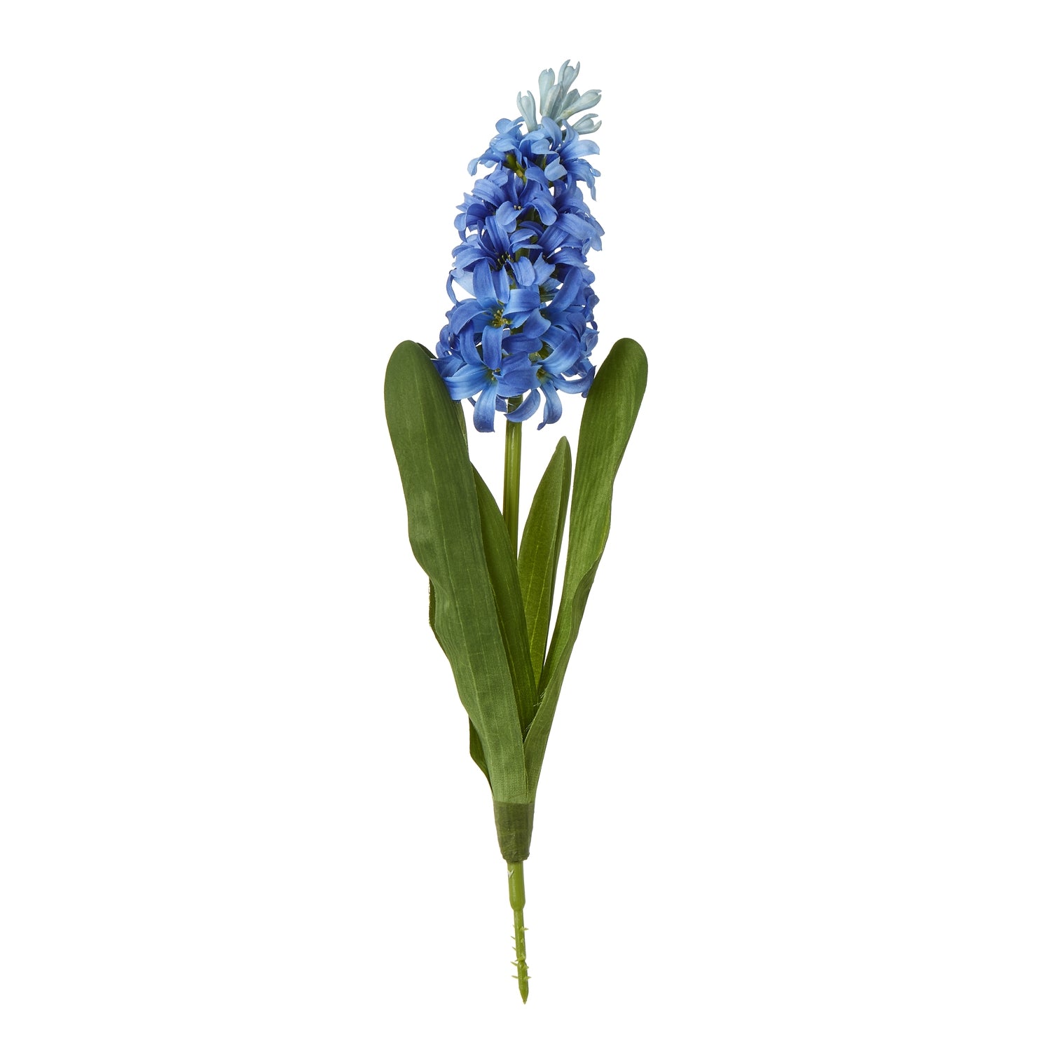 Vibrant blue hyacinth stem with densely packed petals and green leaves, perfect for elegant floral arrangements and home decor.