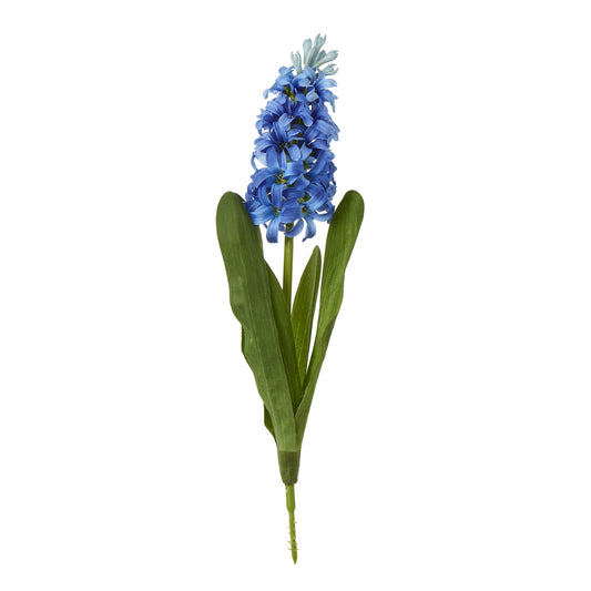 Vibrant blue hyacinth stem with densely packed petals and green leaves, perfect for elegant floral arrangements and home decor.