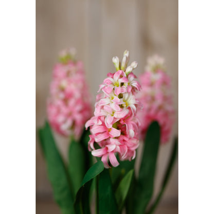 Pink Hyacinth Stem - Single Stem Flowers from the Quanta Home collection.