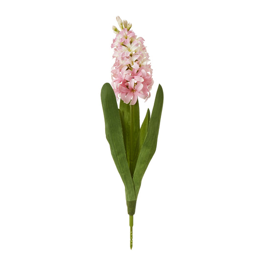 Delicate pink hyacinth stem with lush green leaves, adding elegance and charm to any home decor or floral arrangement.