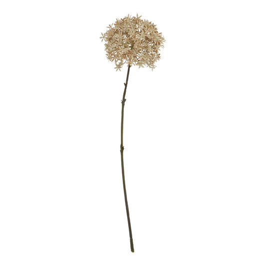 Coffee Allium - Autumn Stems from the Quanta Home collection.