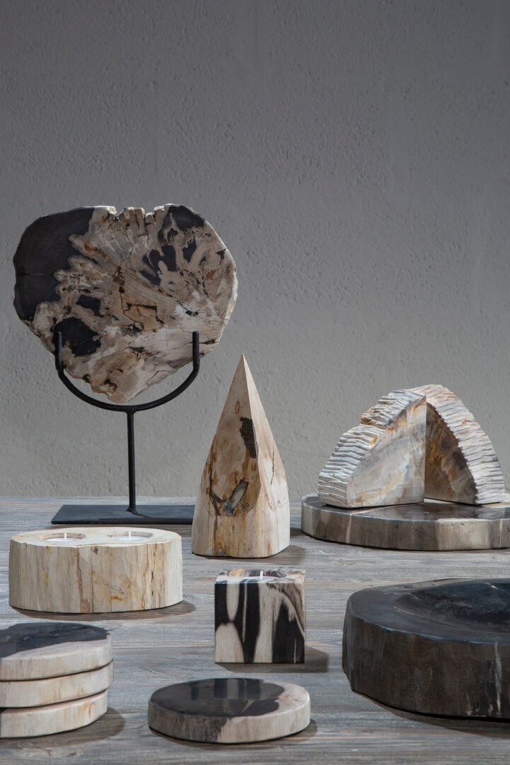 Artifact Petrified Wood Bowl