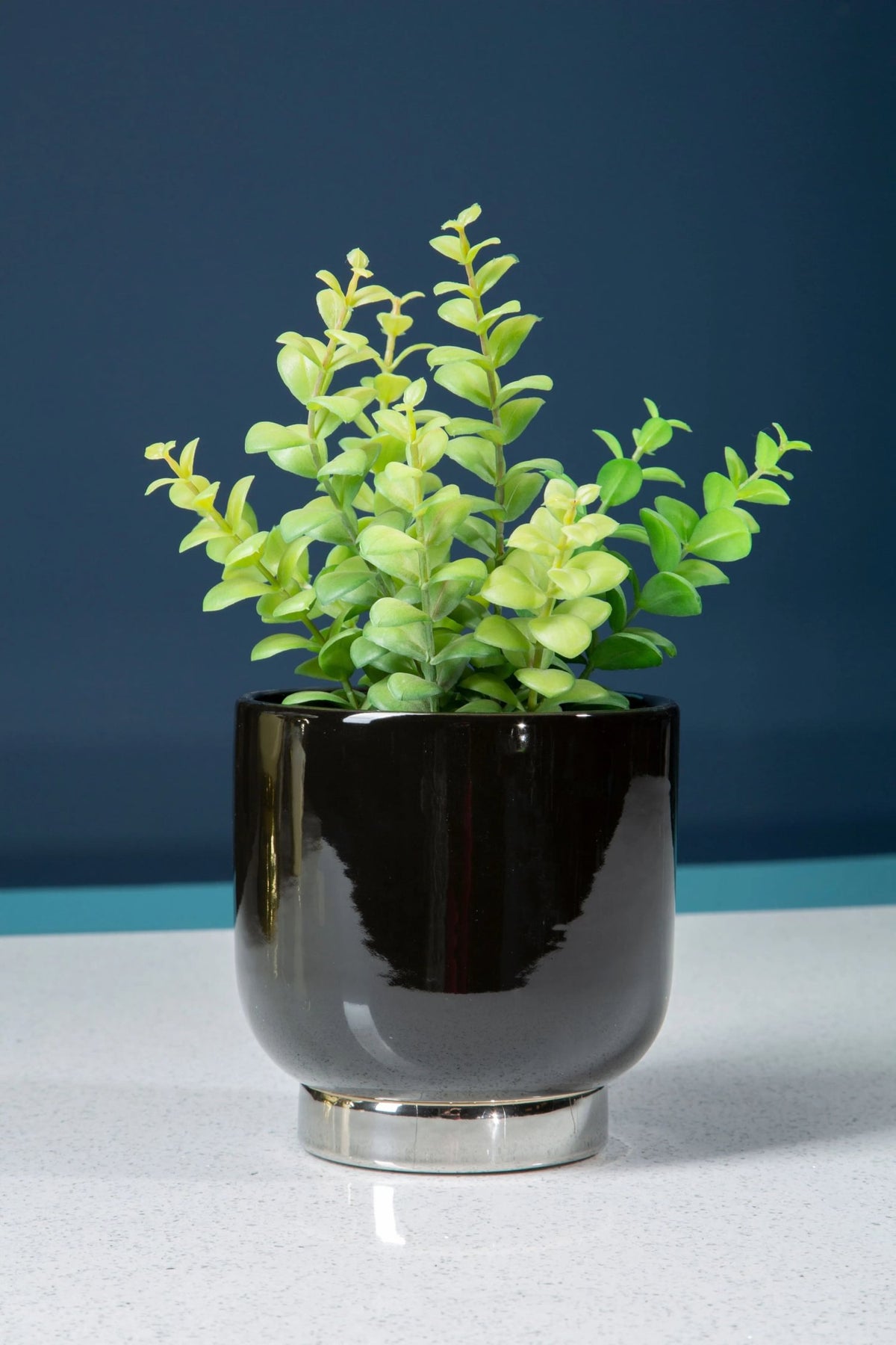 Premier Housewares product image