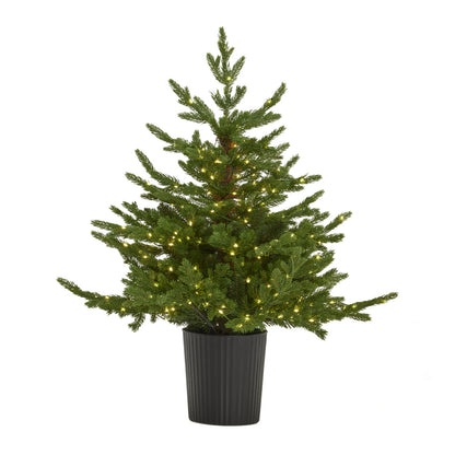 Green Forest Fir Pre-Lit Led 300L Christmas Tree In Pot - Christmas from the Quanta Home collection.