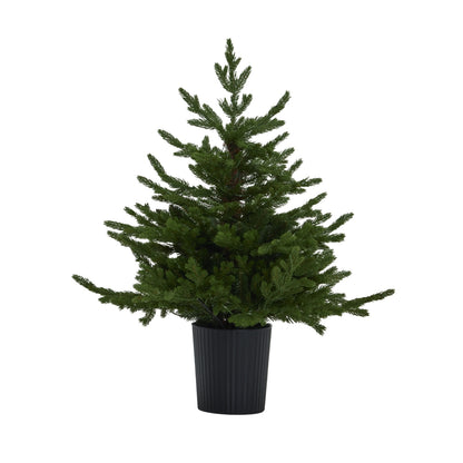 Green Forest Fir Pre-Lit Led 300L Christmas Tree In Pot - Christmas from the Quanta Home collection.