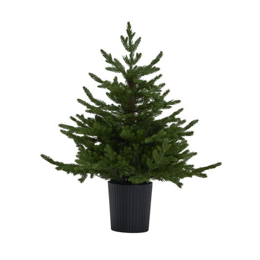 Green Forest Fir Pre-Lit Led 300L Christmas Tree In Pot - Christmas from the Quanta Home collection.