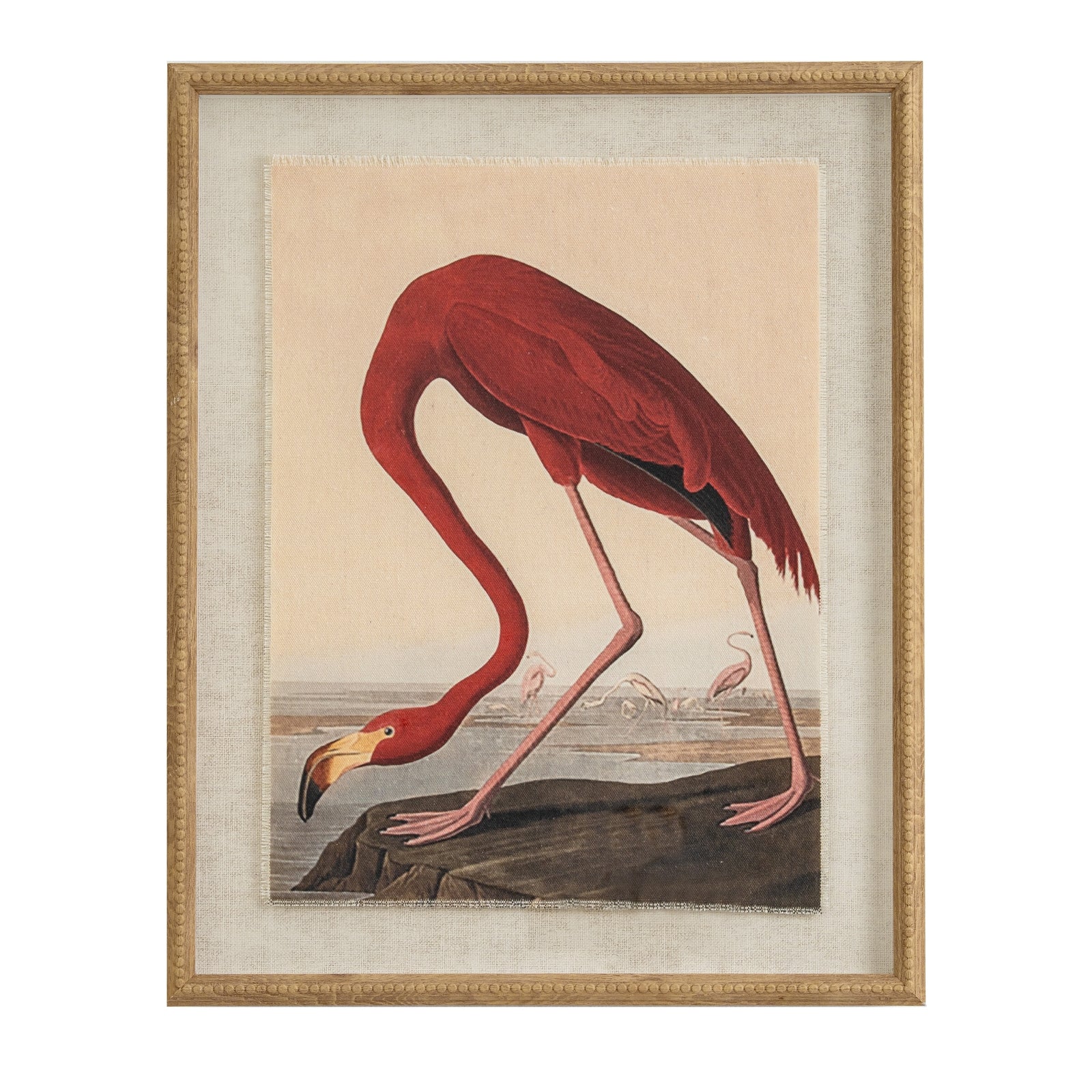Flora & Fauna Collection Flamingo On Linen In Beaded Frame - Printed Art from the Quanta Home collection.