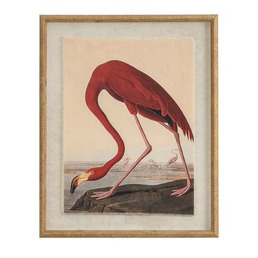 Flora & Fauna Collection Flamingo On Linen In Beaded Frame - Printed Art from the Quanta Home collection.