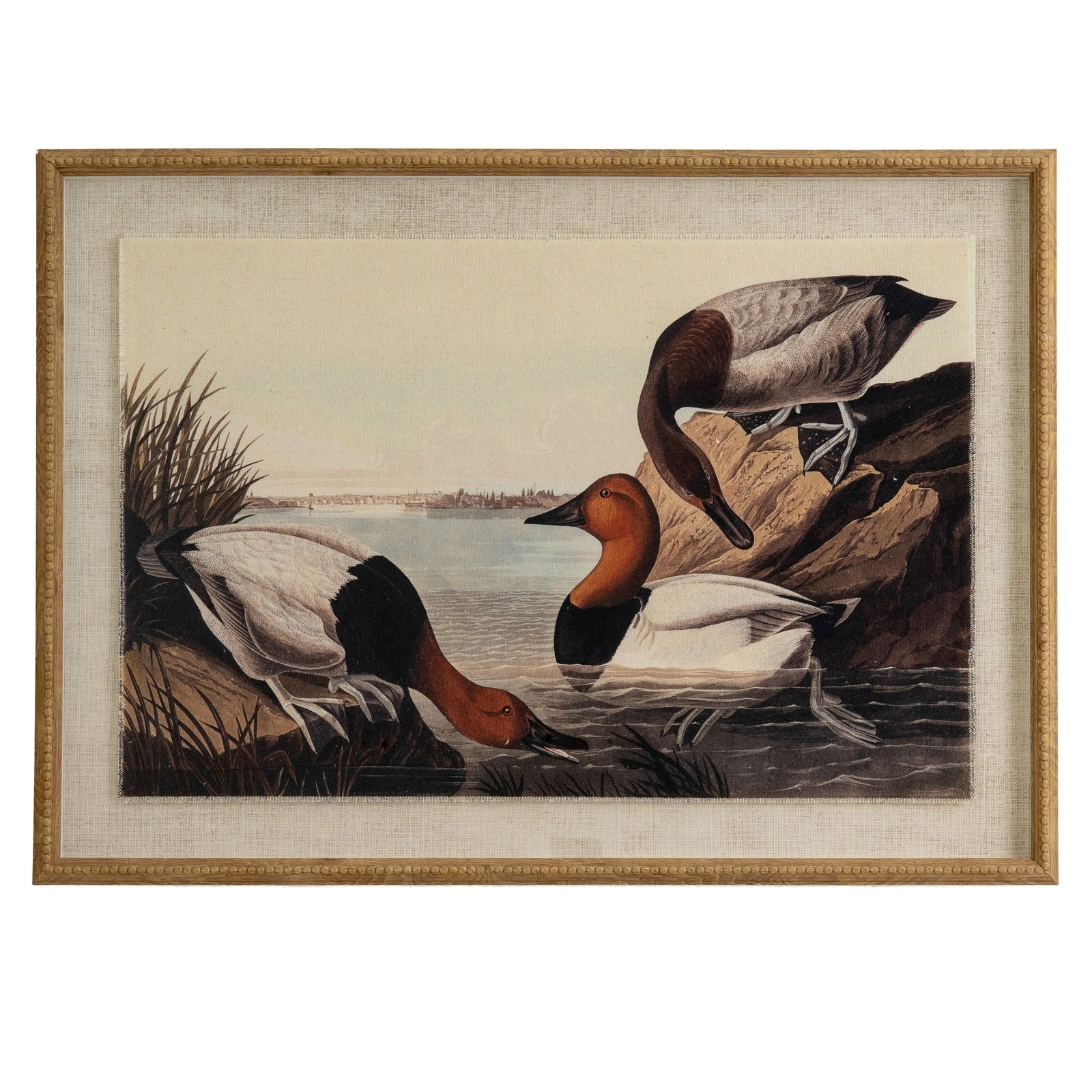 Flora & Fauna Collection Pochards On Linen In Beaded Frame - Printed Art from the Quanta Home collection.
