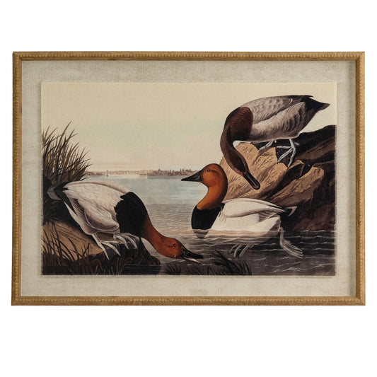 Flora & Fauna Collection Pochards On Linen In Beaded Frame - Printed Art from the Quanta Home collection.