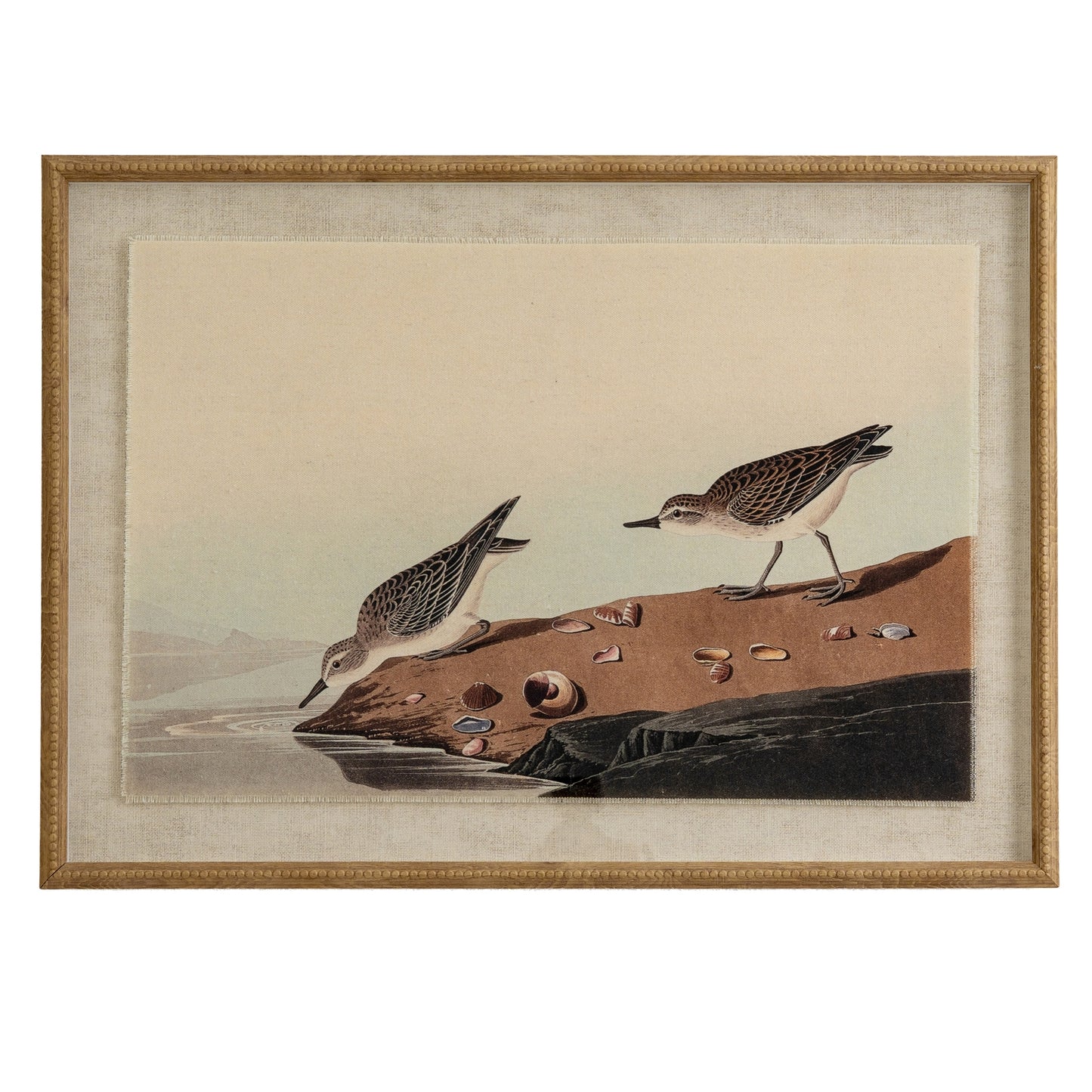 Flora & Fauna Collection Stints On Linen In Beaded Frame - Printed Art from the Quanta Home collection.