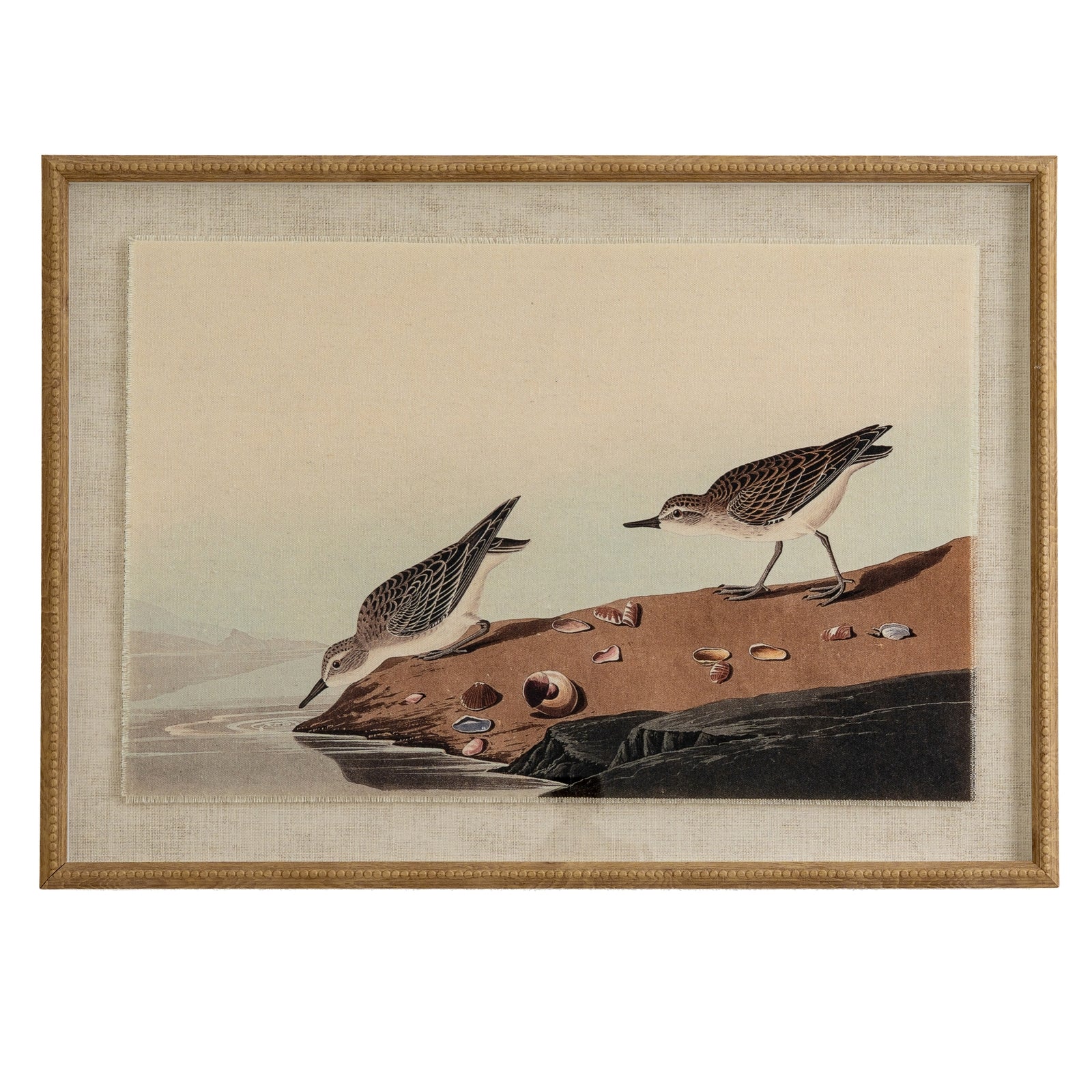 Flora & Fauna Collection Stints On Linen In Beaded Frame - Printed Art from the Quanta Home collection.