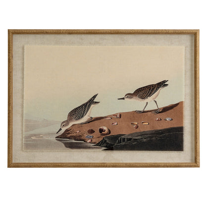 Flora & Fauna Collection Stints On Linen In Beaded Frame - Printed Art from the Quanta Home collection.