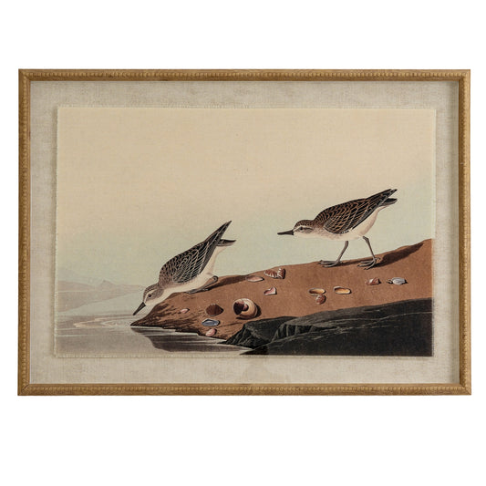 Flora & Fauna Collection Stints On Linen In Beaded Frame - Printed Art from the Quanta Home collection.