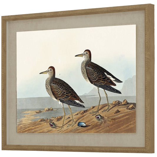 Lifelike depiction of two sandpipers on a sandy shore, framed in an elegant beaded frame, with a soft linen background.