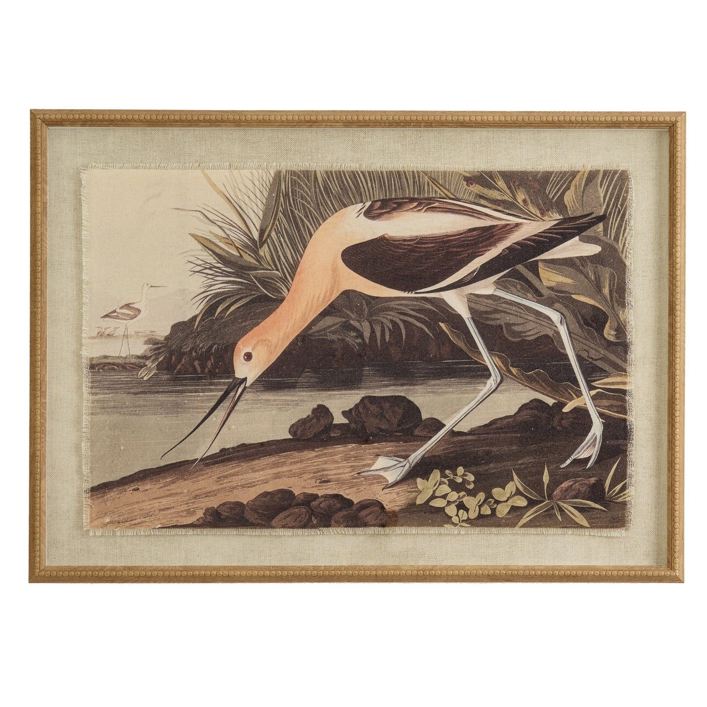 Flora & Fauna Collection Avocet On Linen In Beaded Frame - Printed Art from the Quanta Home collection.
