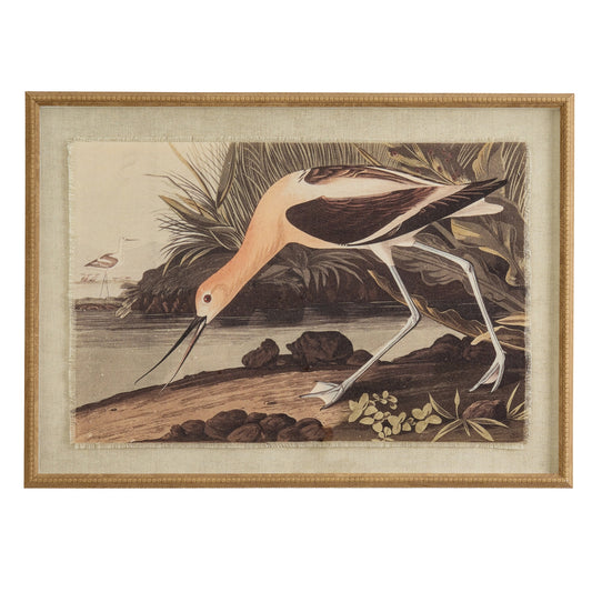 Flora & Fauna Collection Avocet On Linen In Beaded Frame - Printed Art from the Quanta Home collection.