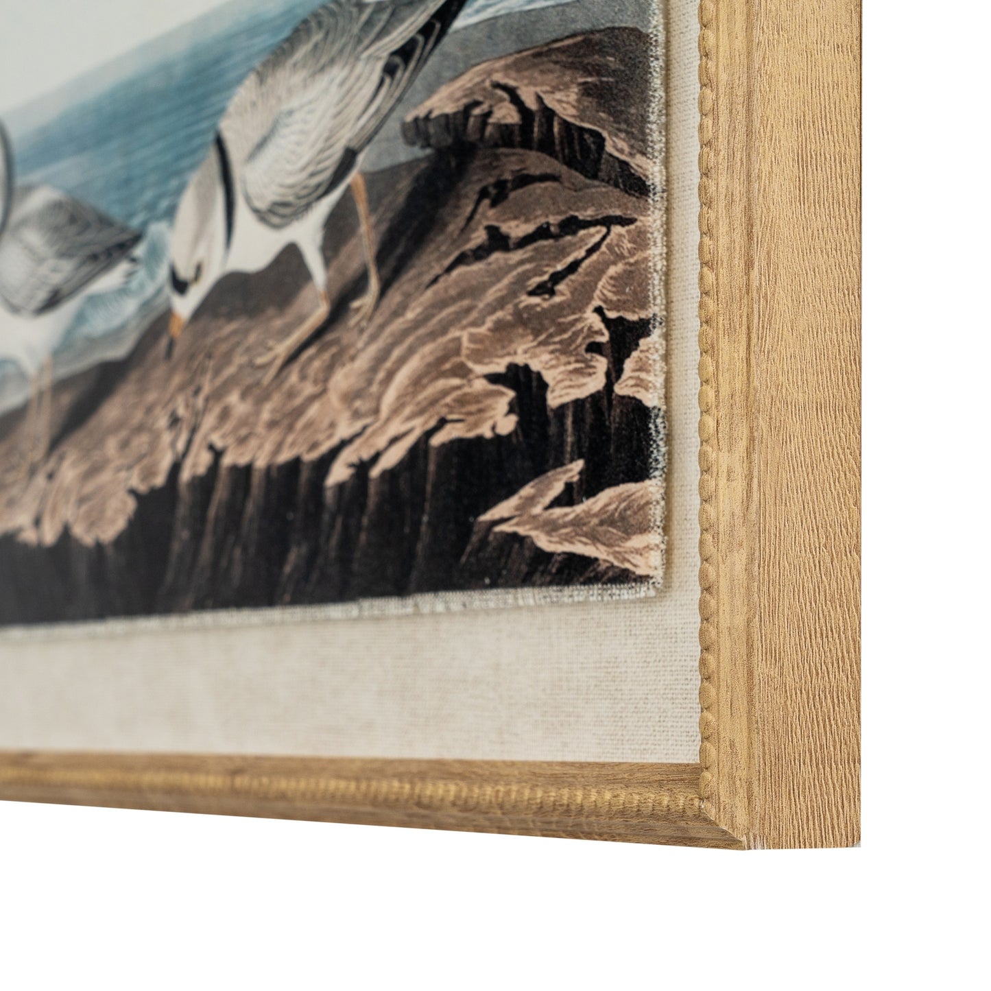 Flora & Fauna Collection Plovers On Linen In Beaded Frame - Printed Art from the Quanta Home collection.