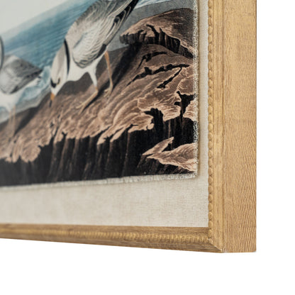 Flora & Fauna Collection Plovers On Linen In Beaded Frame - Printed Art from the Quanta Home collection.