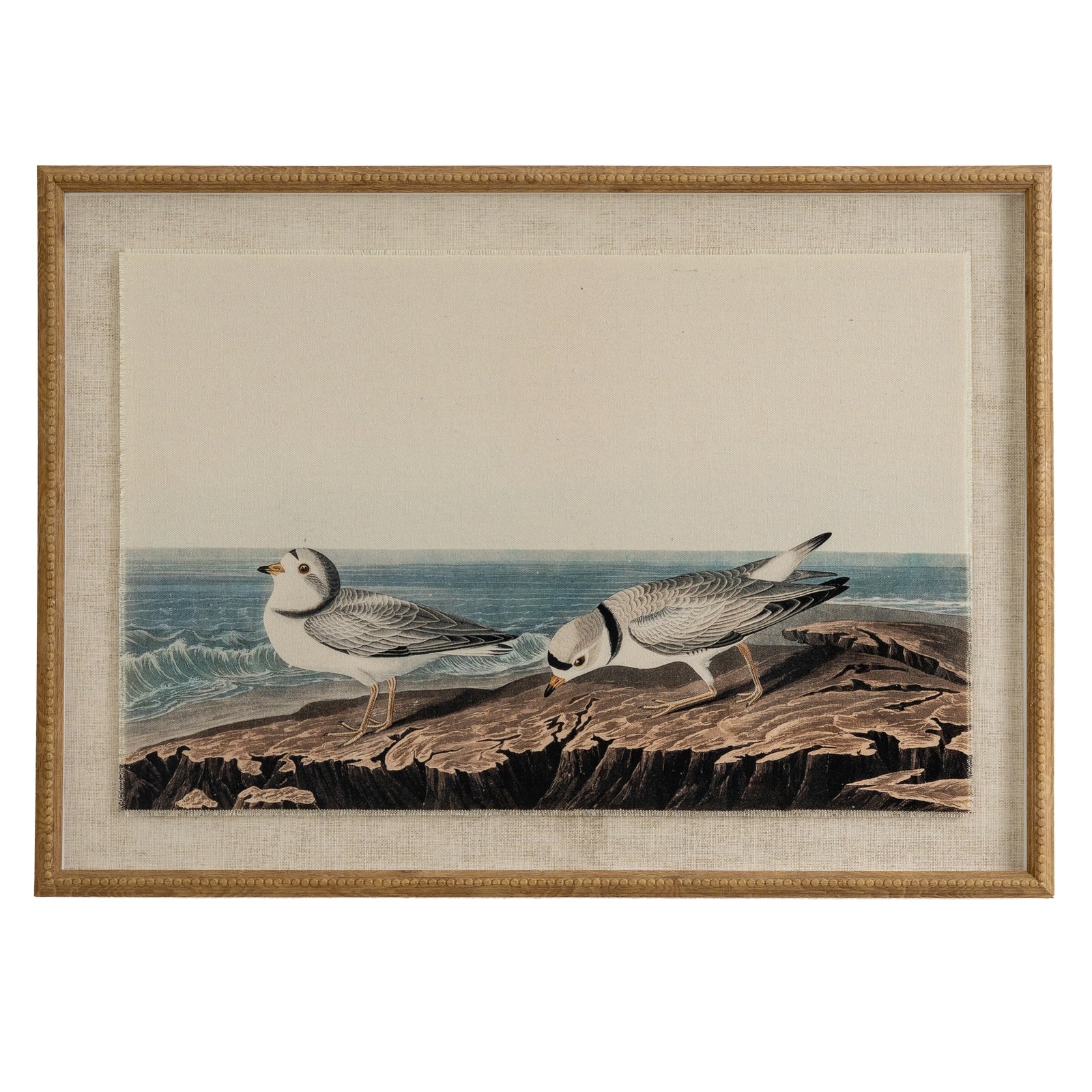 Flora & Fauna Collection Plovers On Linen In Beaded Frame - Printed Art from the Quanta Home collection.