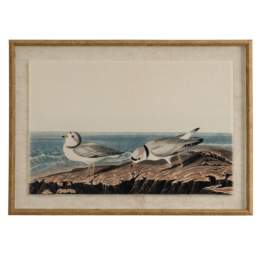 Flora & Fauna Collection Plovers On Linen In Beaded Frame - Printed Art from the Quanta Home collection.