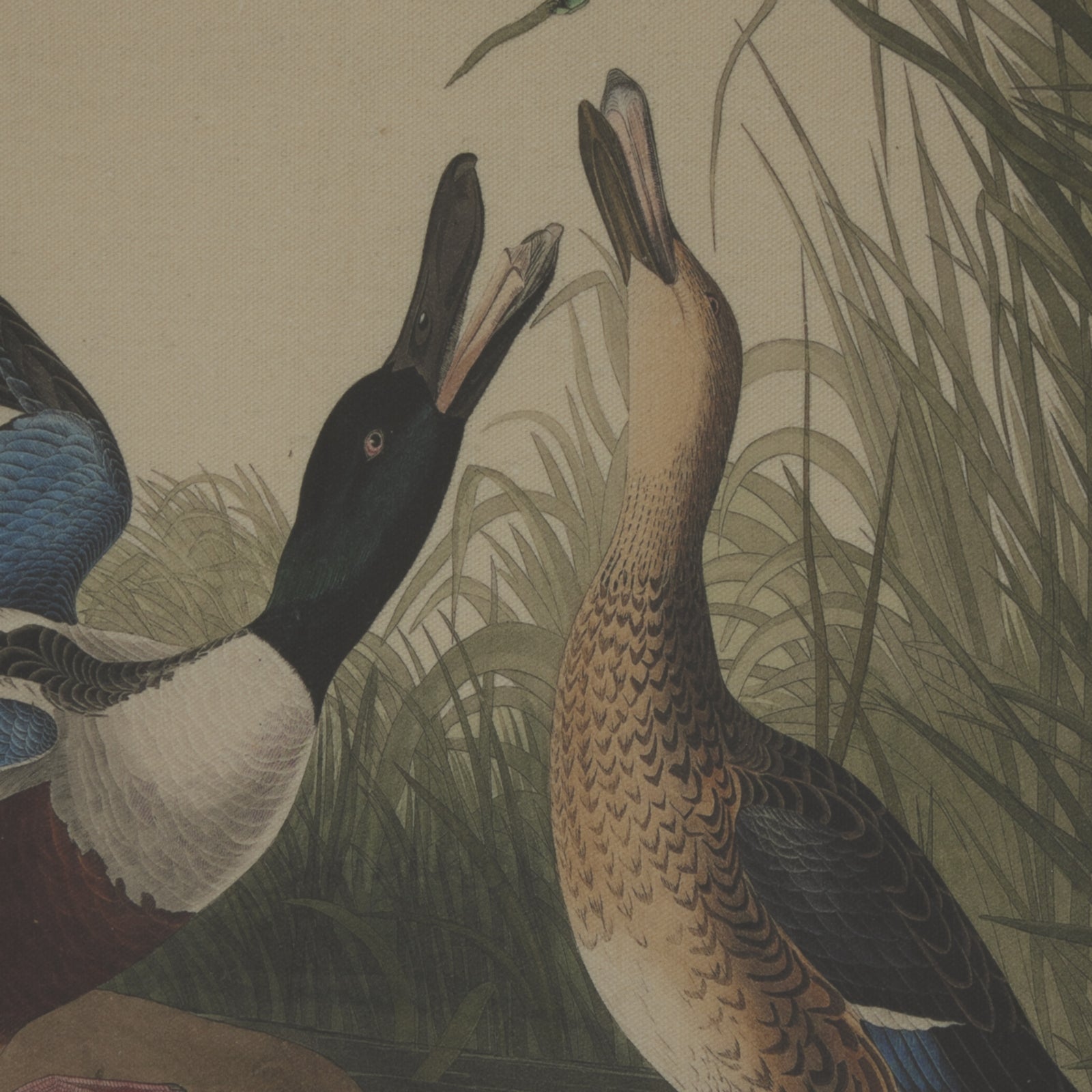 Art piece featuring two mallards in detailed colors on linen, showcased in an elegant beaded frame with neutral tones.