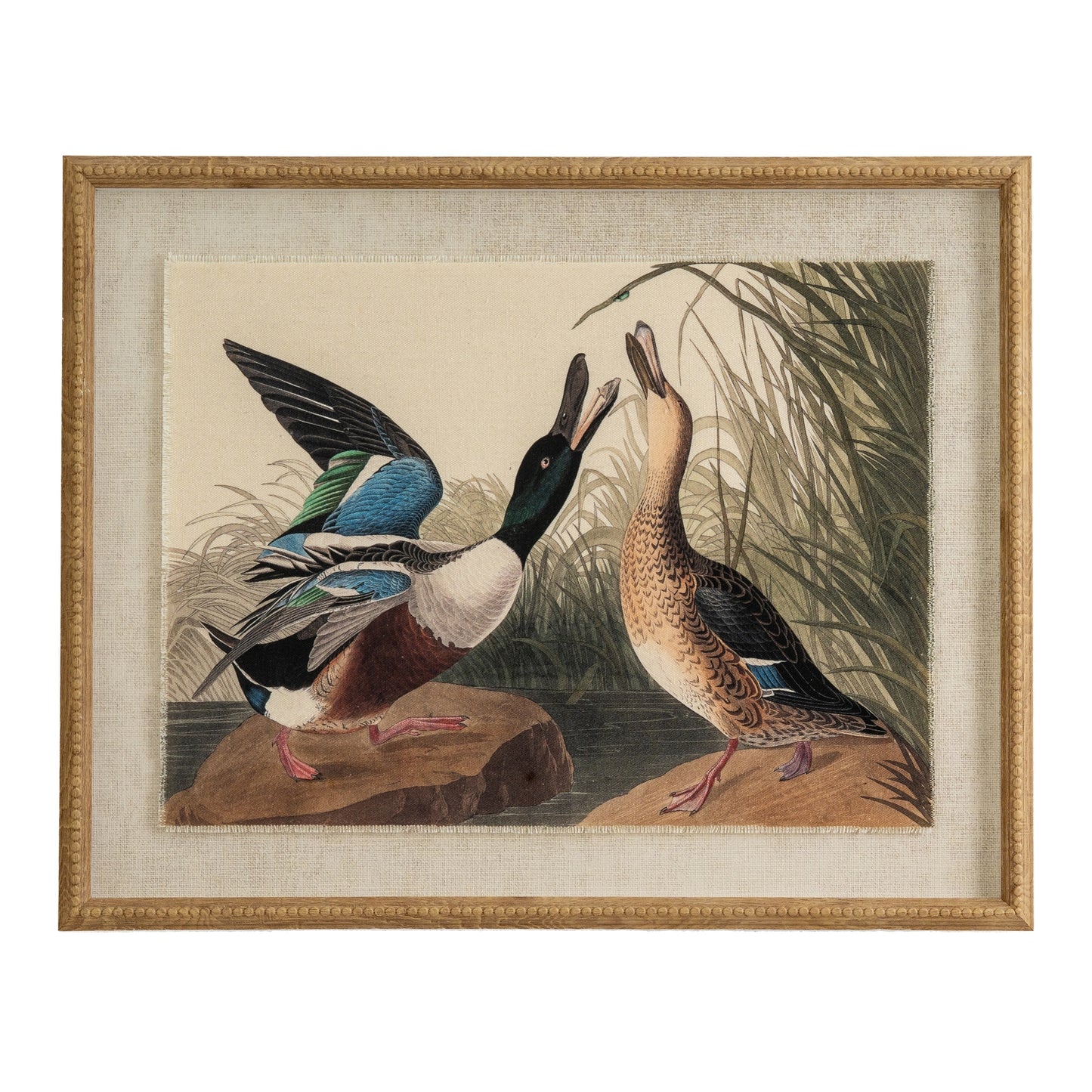 Flora & Fauna Collection Mallards On Linen In Beaded Frame - Printed Art from the Quanta Home collection.