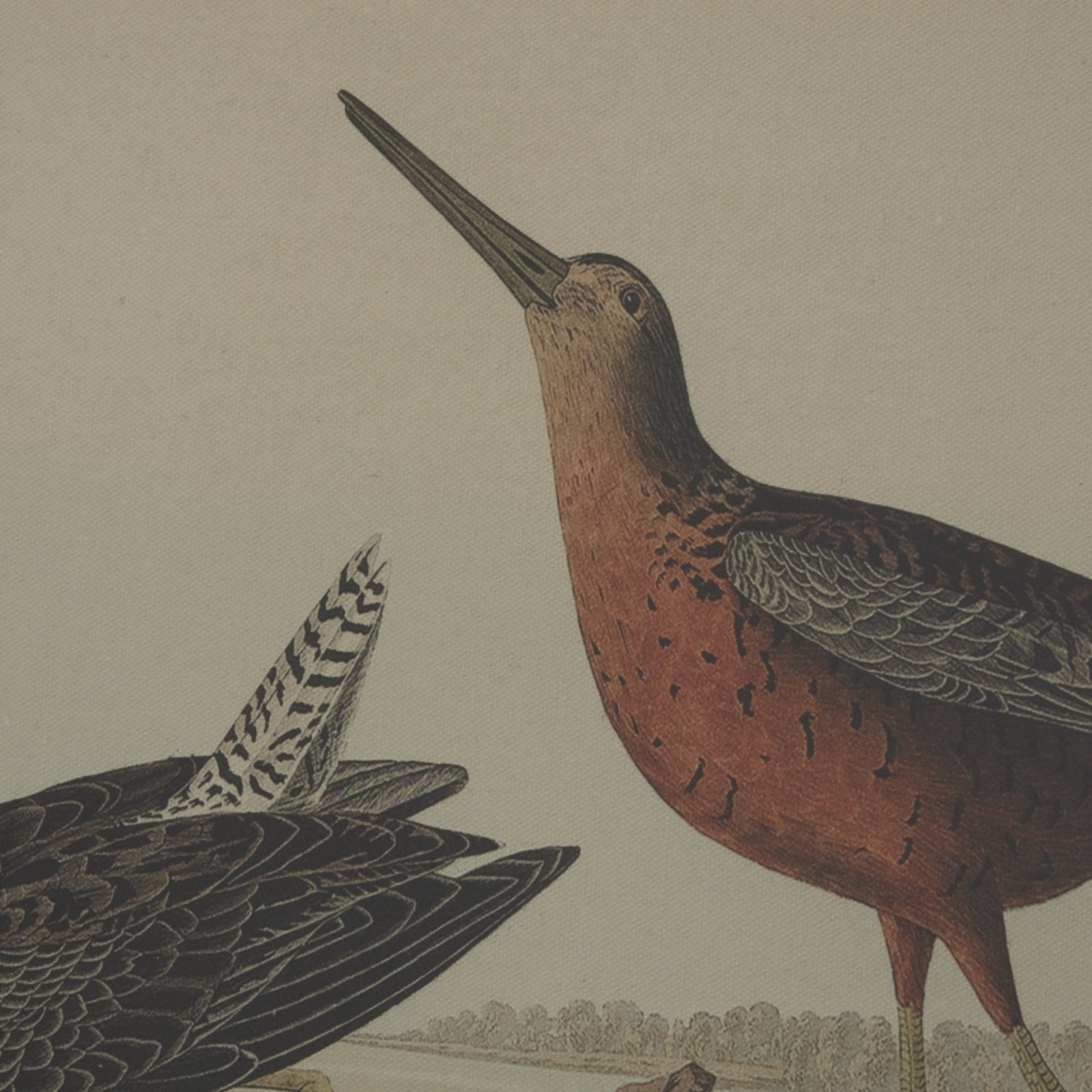 Intricate print of two birds showcasing rich browns and subtle detailing, framed in a luxurious beaded border.