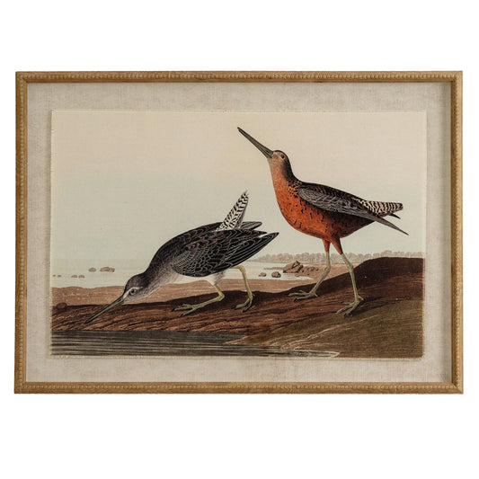 Flora & Fauna Collection Snipes On Linen In Beaded Frame - Printed Art from the Quanta Home collection.