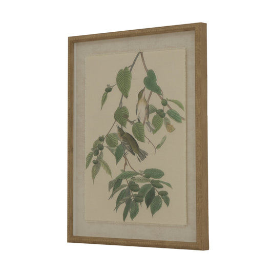Ornithological illustration of warblers on soft beige linen, framed in a sophisticated beaded frame, showcasing lush green leaves.