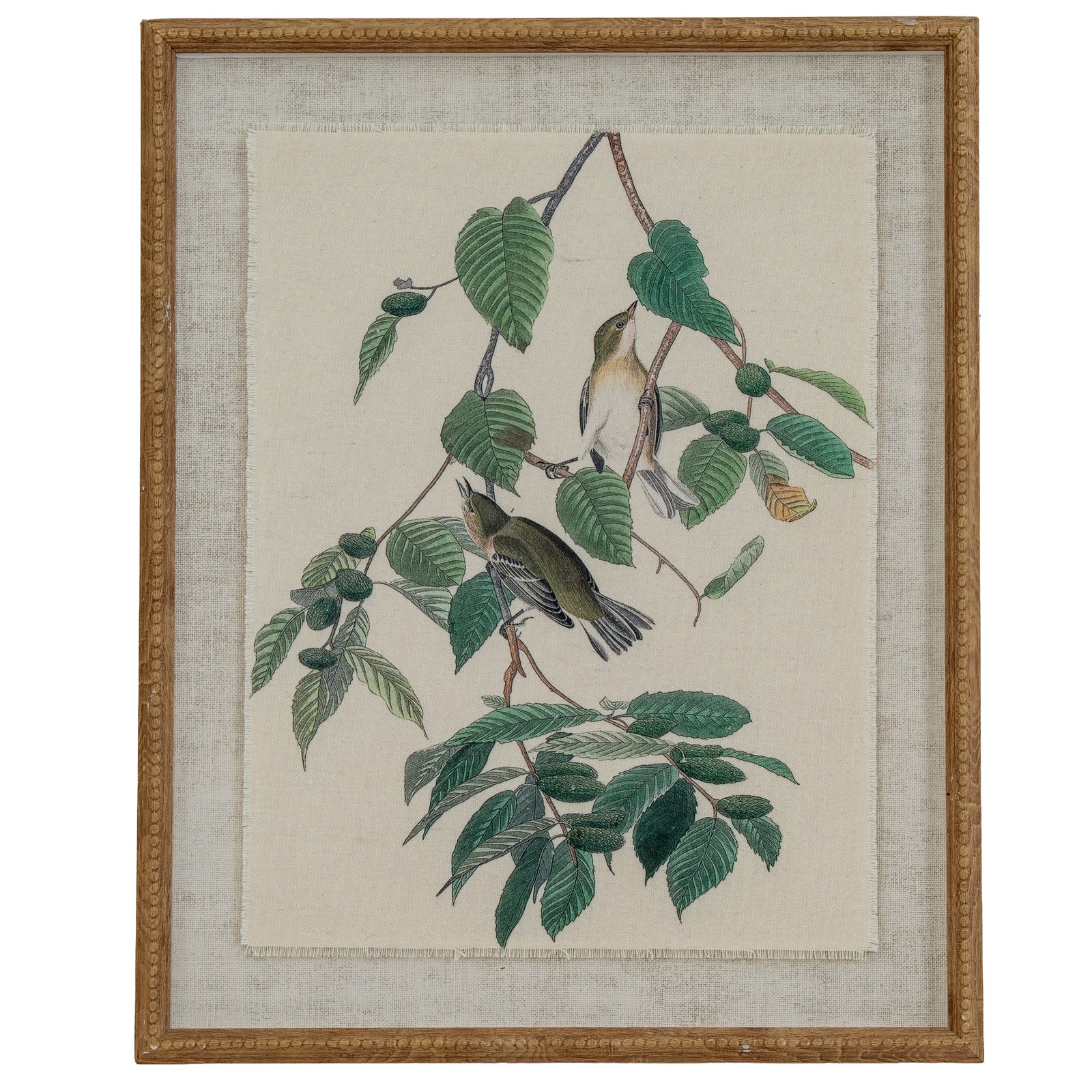 Flora & Fauna Collection Warblers On Linen In Beaded Frame - Printed Art from the Quanta Home collection.