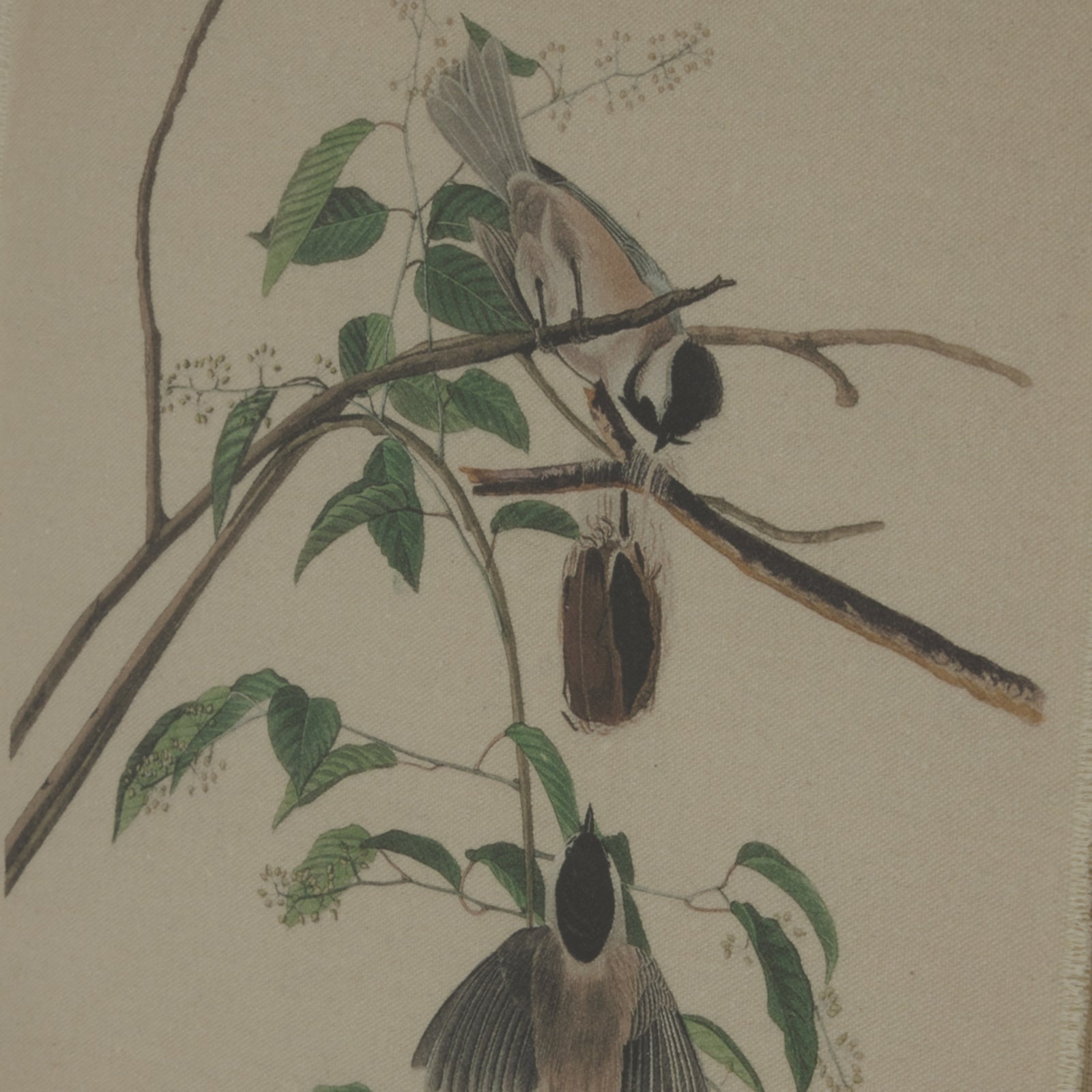 Chickadees perched on branches against a textured linen background, framed elegantly with intricate beading.
