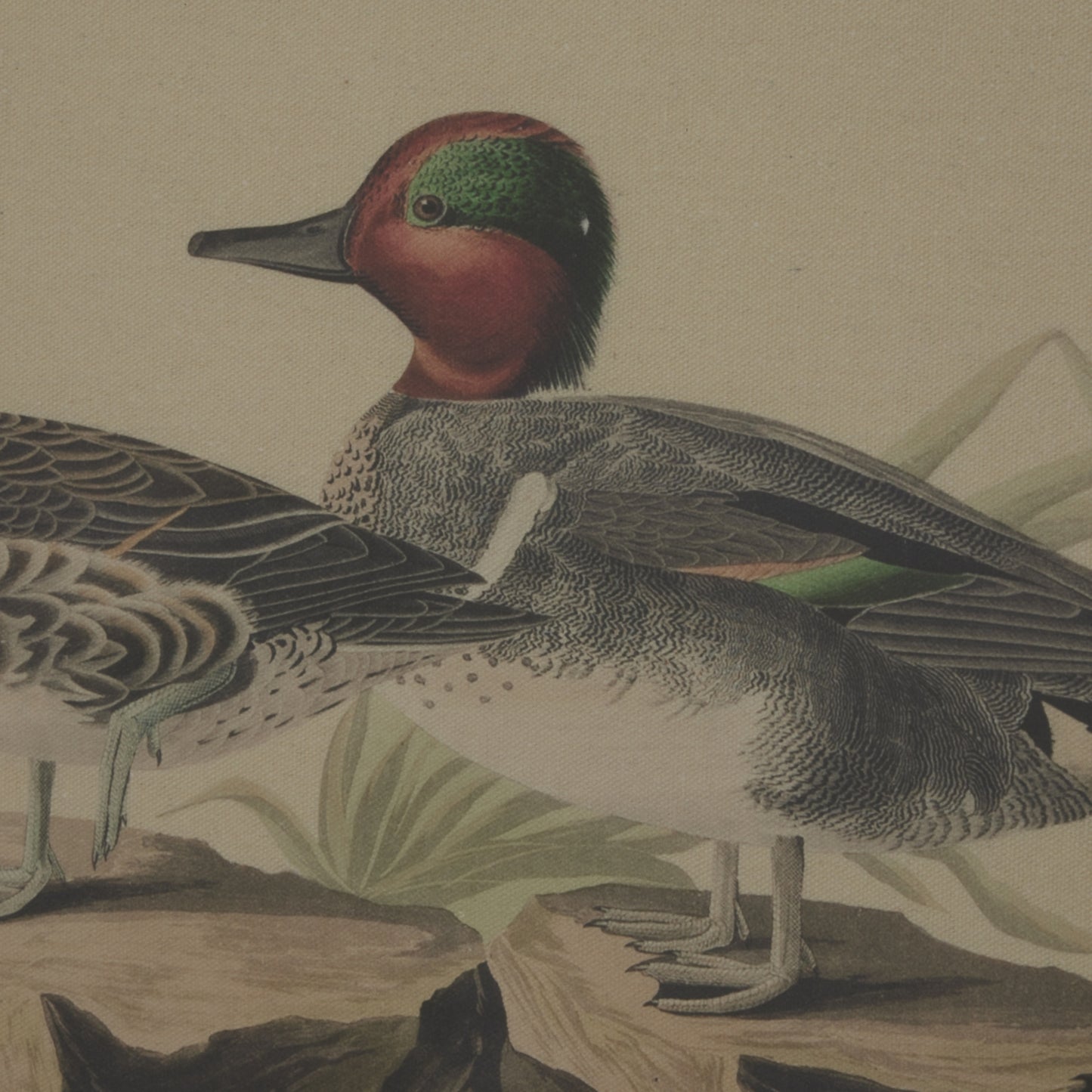 Intricate waterfowl illustration in vibrant reds and greens on natural linen, framed by an elegant beaded border.