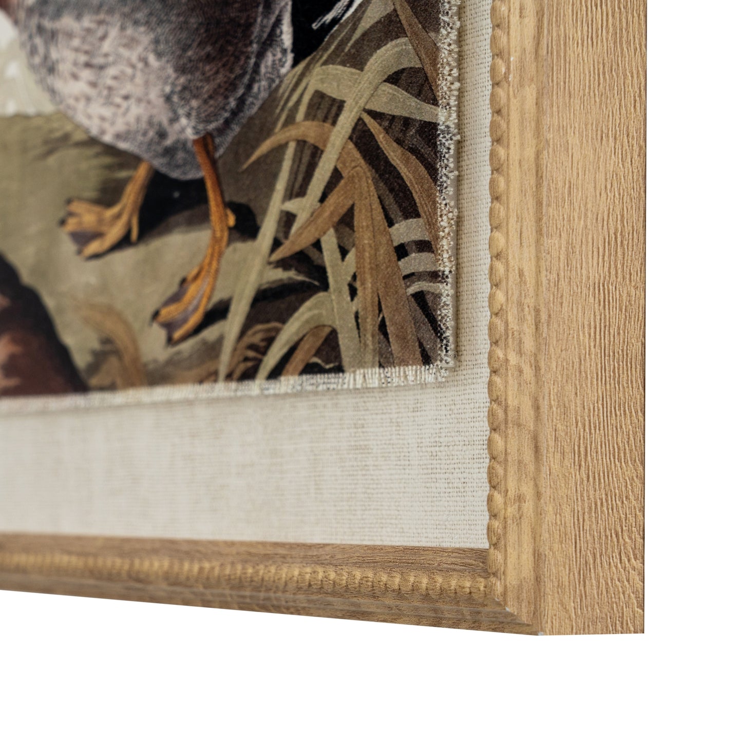 Flora & Fauna Collection Duck On Linen In Beaded Frame - Printed Art from the Quanta Home collection.