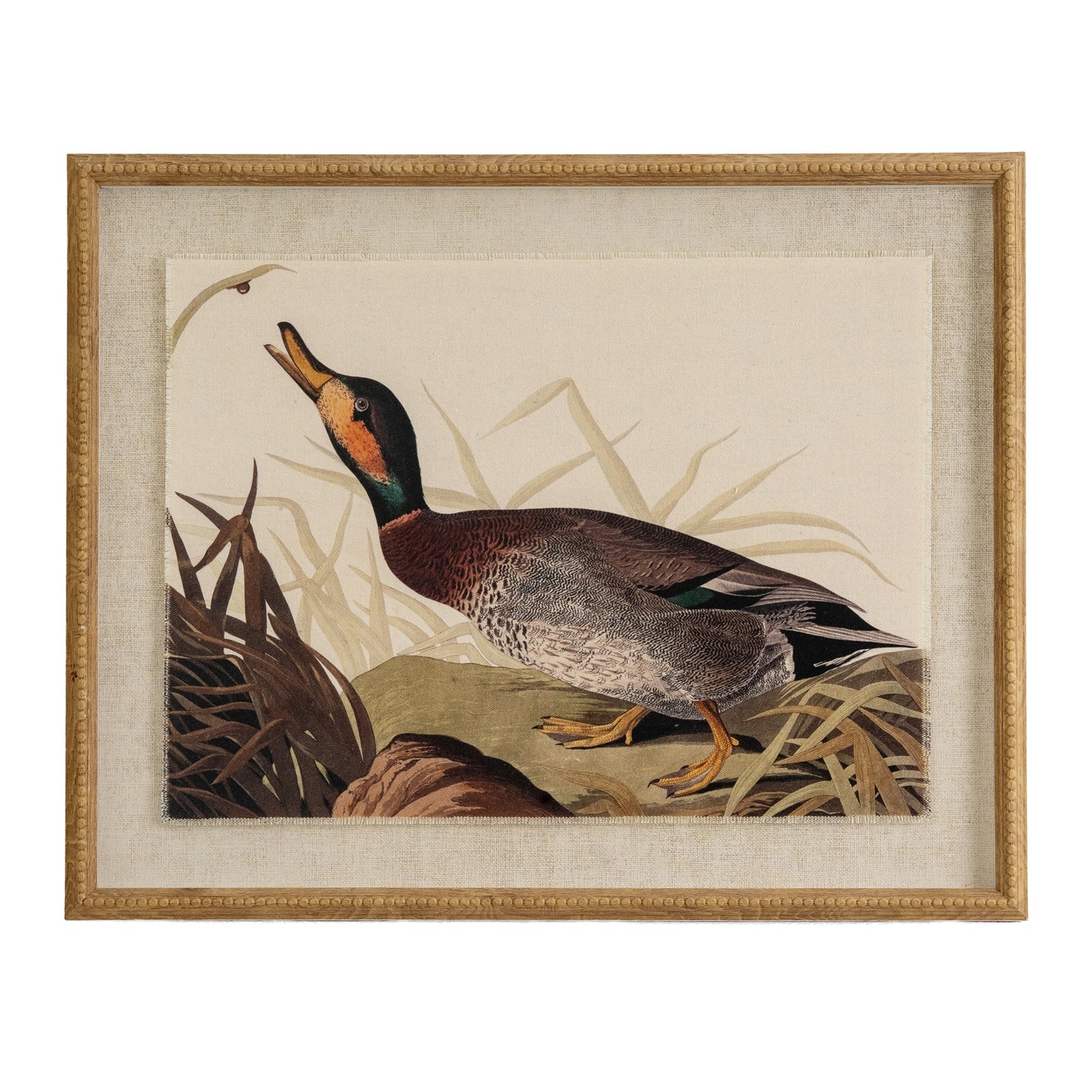 Flora & Fauna Collection Duck On Linen In Beaded Frame - Printed Art from the Quanta Home collection.