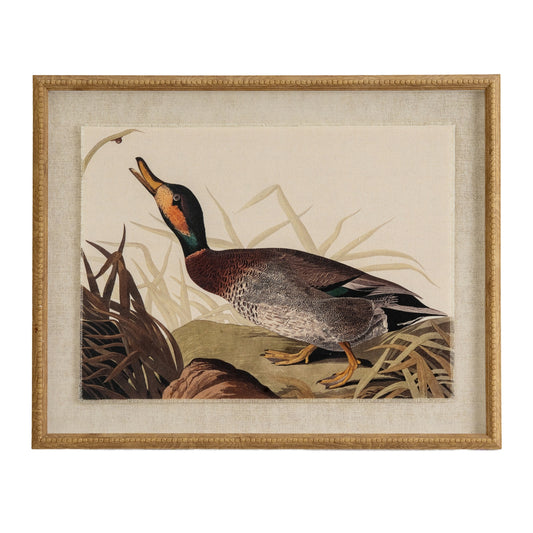 Flora & Fauna Collection Duck On Linen In Beaded Frame - Printed Art from the Quanta Home collection.