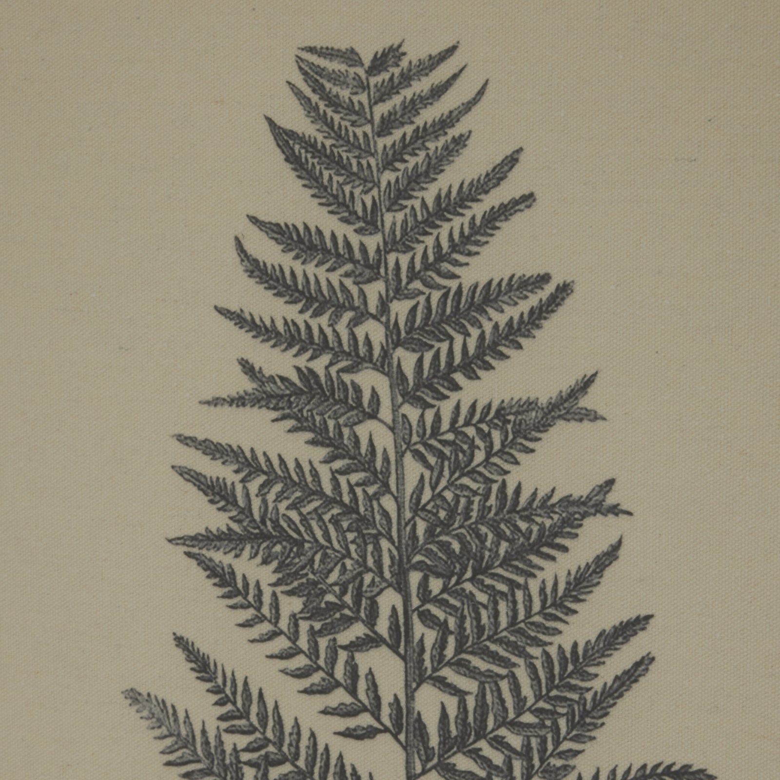 Meticulously detailed beech fern illustration in black on natural linen, framed with elegant beaded border, adding sophistication.