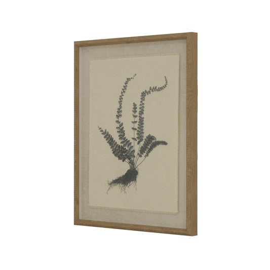 Botanical art print of Spleenwort in an ornate beaded frame, featuring delicate black details on fine linen against a neutral background.