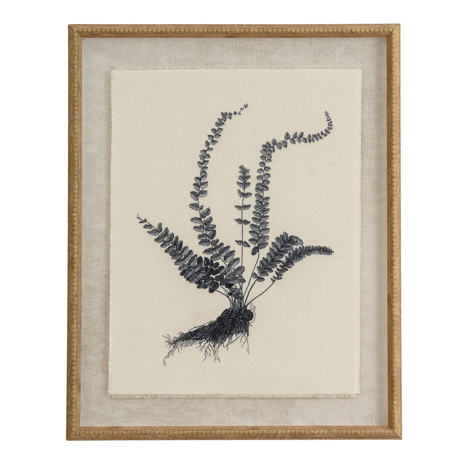 Flora & Fauna Collection Spleenwort On Linen In Beaded Frame - Printed Art from the Quanta Home collection.