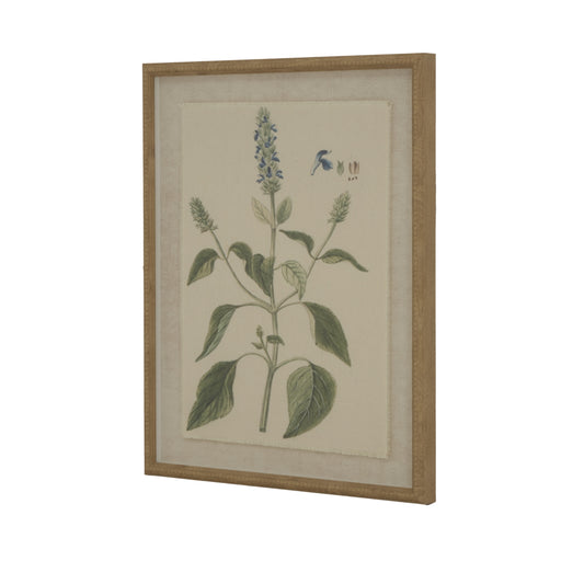 Botanical illustration of salvia on natural linen, framed in an elegant beaded wood frame, combining sophisticated detail and subtle colors.