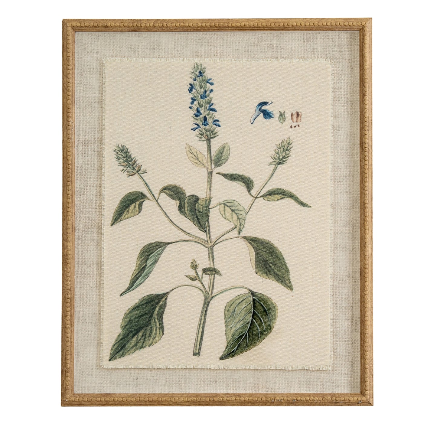 Flora & Fauna Collection Salvia On Linen In Beaded Frame - Printed Art from the Quanta Home collection.