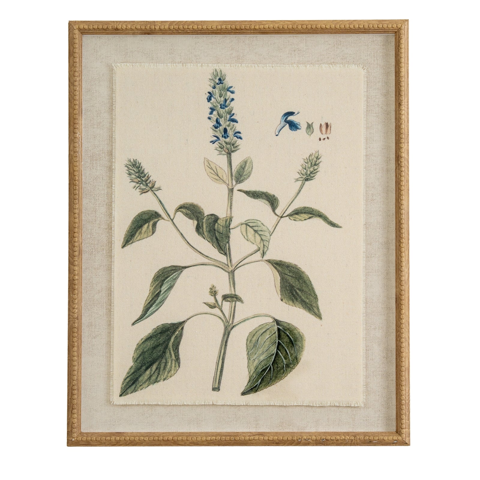 Flora & Fauna Collection Salvia On Linen In Beaded Frame - Printed Art from the Quanta Home collection.