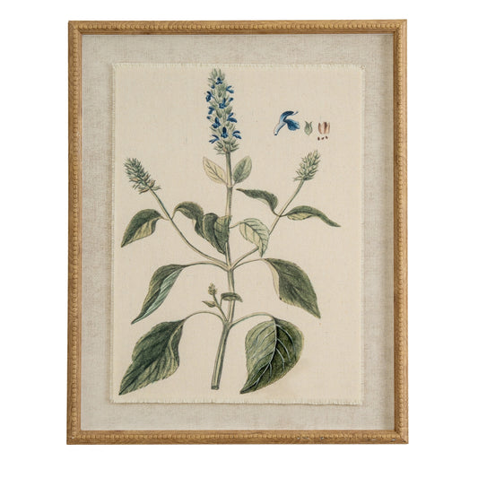 Flora & Fauna Collection Salvia On Linen In Beaded Frame - Printed Art from the Quanta Home collection.