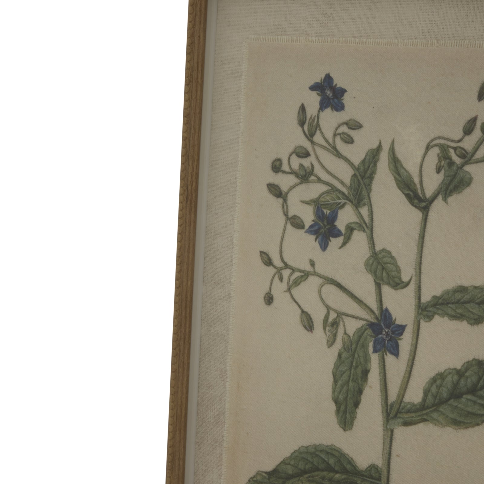 Botanical art featuring delicate blue borage flowers on linen, framed in a luxurious beaded frame, enhancing elegant interiors.