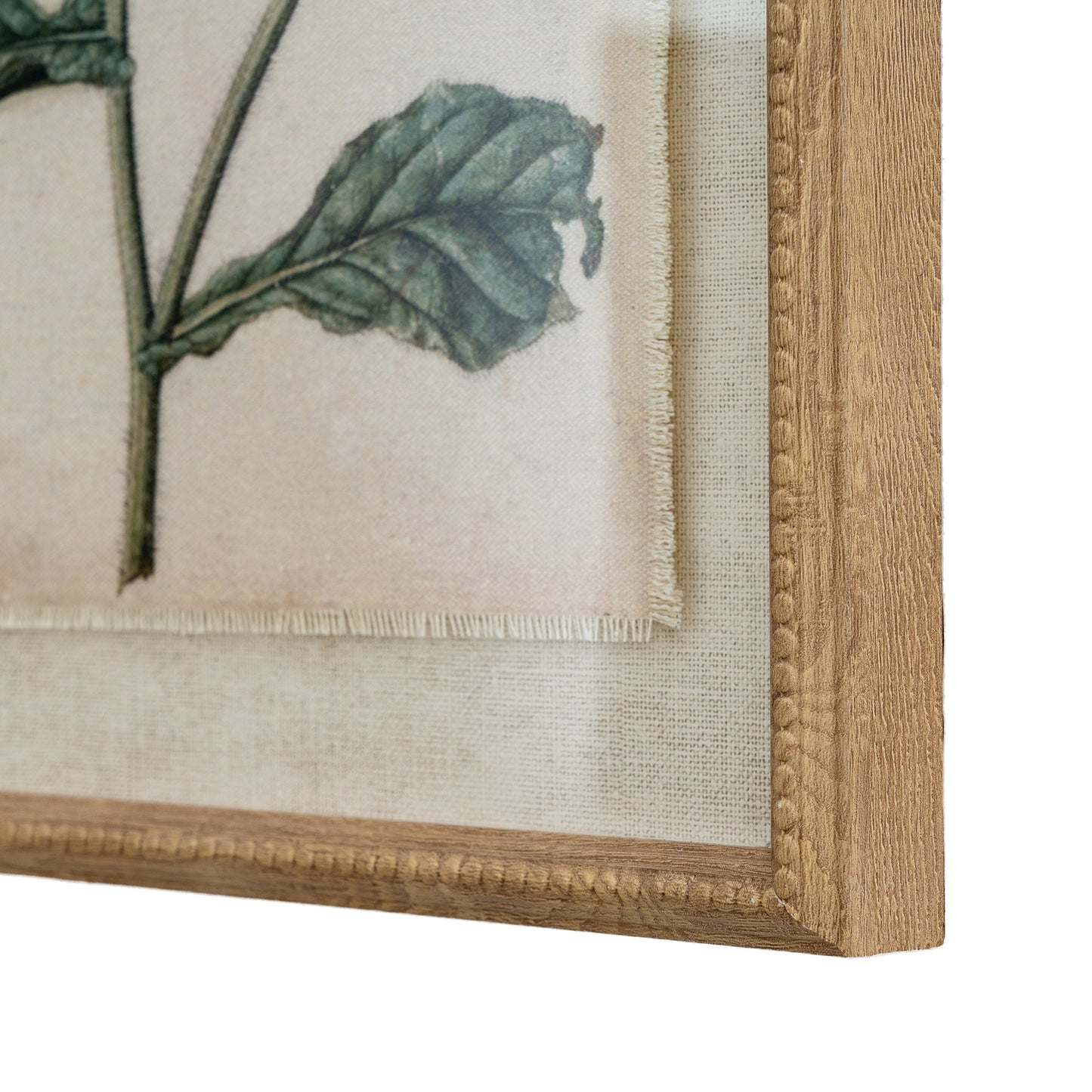 Flora & Fauna Collection Borage On Linen In Beaded Frame - Printed Art from the Quanta Home collection.