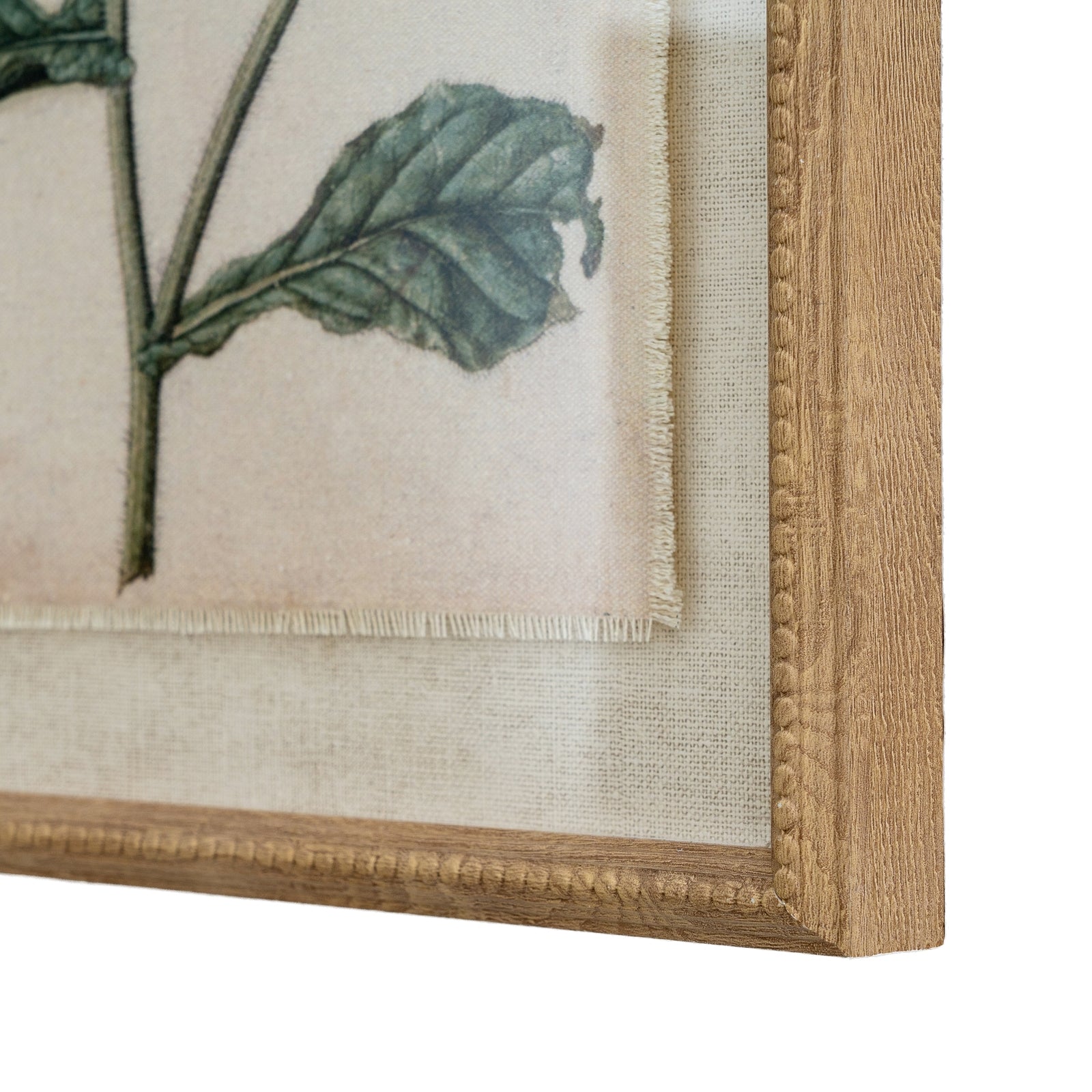 Flora & Fauna Collection Borage On Linen In Beaded Frame - Printed Art from the Quanta Home collection.